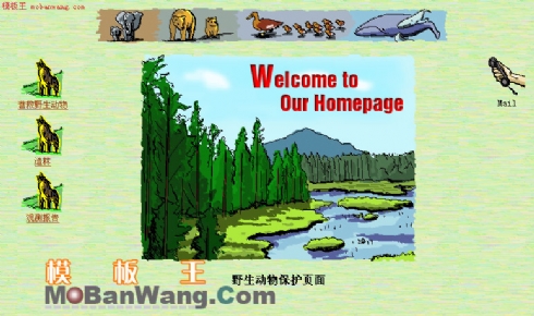 野生动物保护页面模板