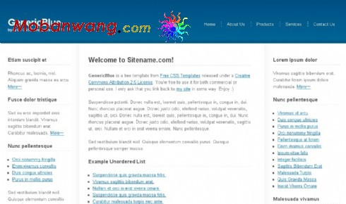 蓝色技术信息网页模板