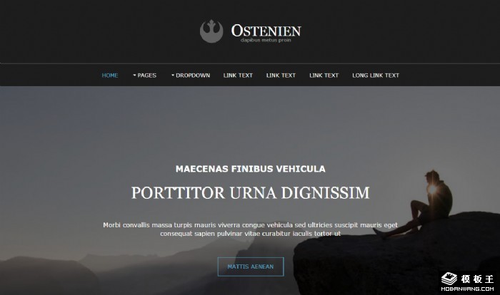 登峰科技业务动态网页模板