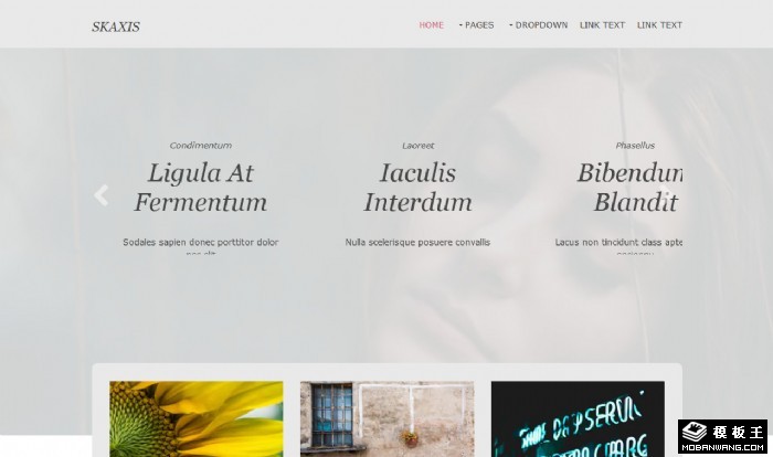 简约休闲时尚日志网页模板