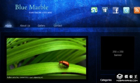 深蓝大理石纹理BLOG网页模板