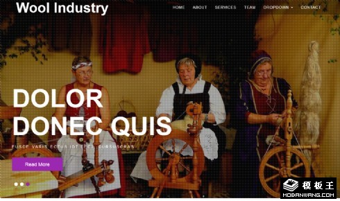 羊毛纺织制品响应式网页模板