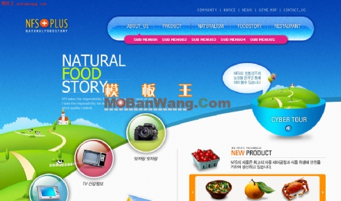 韩国自然美食介绍网页模板