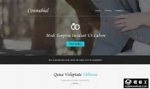 简洁爱的记录结婚服务响应式网页模板