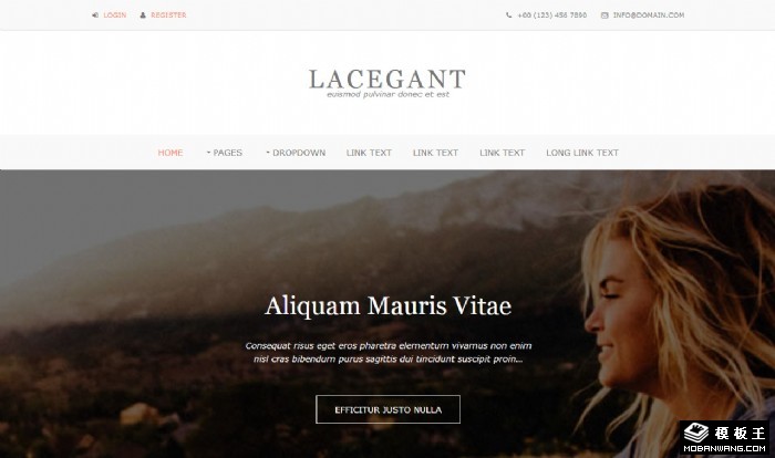 品牌业务展示网页模板