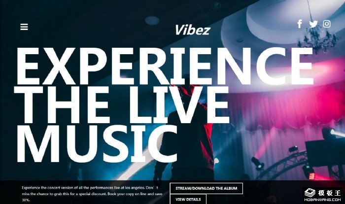 现场音乐之旅网站模板