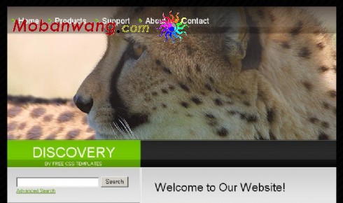 野生动物探索研究网页模板