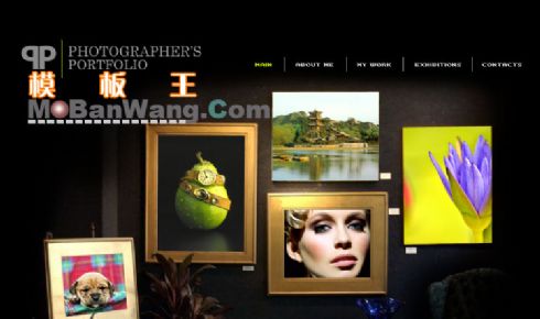 个人秀网站模板