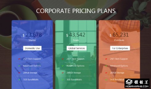 企业产品定价响应式网页模板