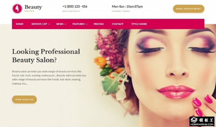 美容项目服务展示网页模板