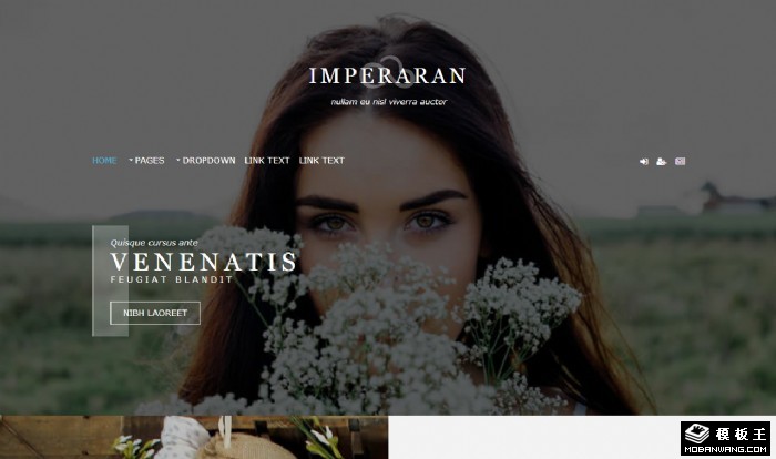 品牌商业合作动态网页模板