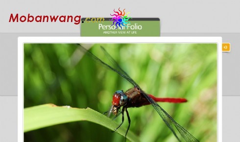 个人影集展示网页模板