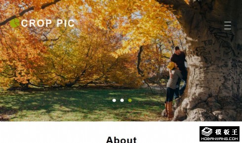 摄影相片展示介绍响应式网页模板