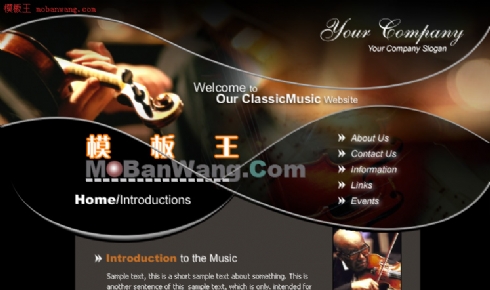 欧美小提琴演奏模板