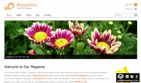 简洁杂志介绍展示网页模板