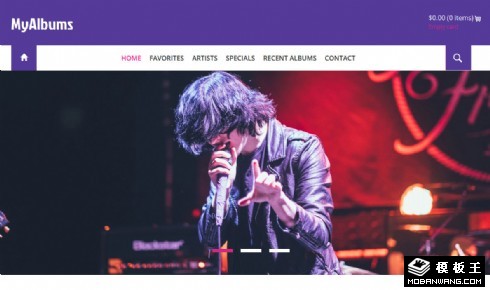 音乐专辑收藏响应式网站模板
