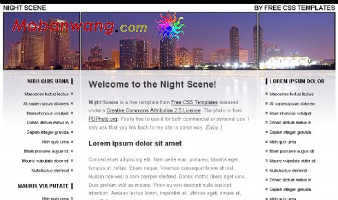 夜景主题企业网页模板