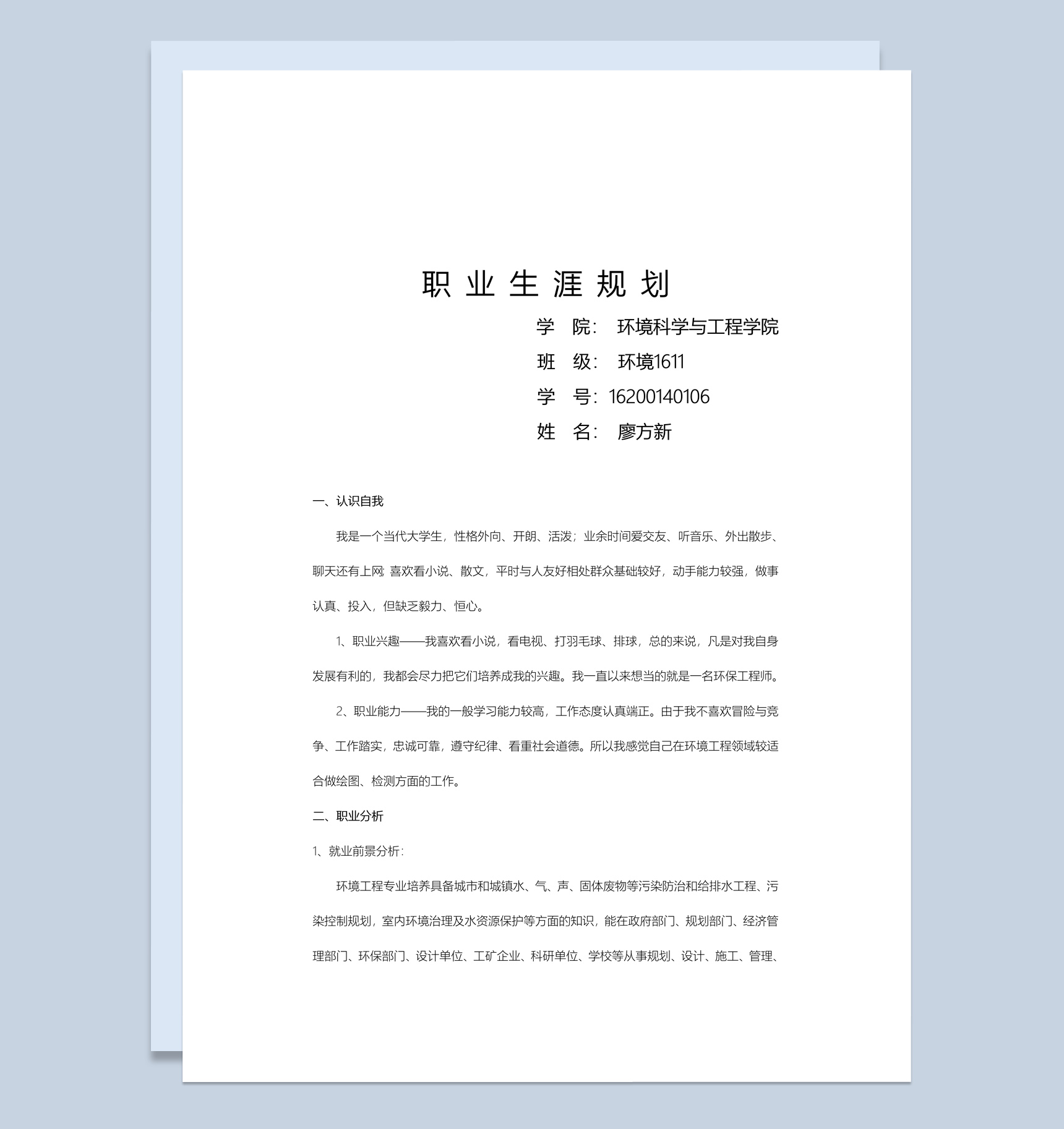 环境科学与工程学院大学生职业生涯规划书Word模板