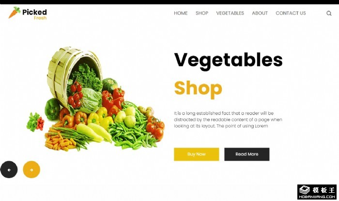 在线蔬菜商店网站模板