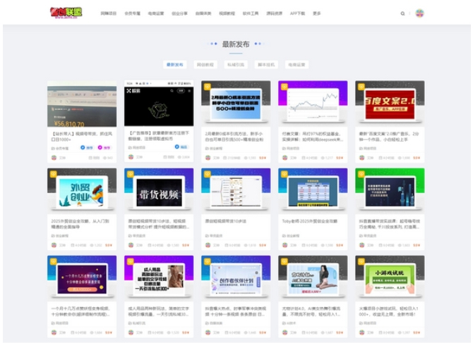 2025最新搭建仿智创联盟（总裁破解模板） 附破解可用源码+搭建教程+采集资源