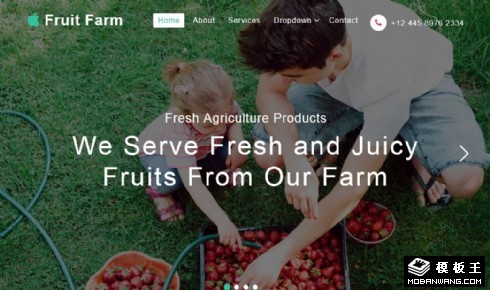果园展示动态响应式网页模板
