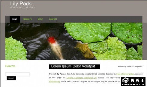 鱼塘主题BLOG网页模板