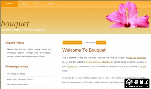 橙色花香BLOG网页模板