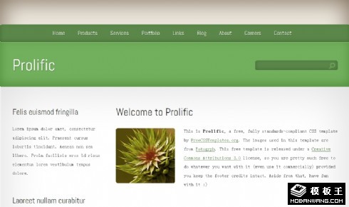 绿色渐变信息动态网页模板