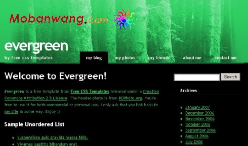 常绿森林BLOG网页模板