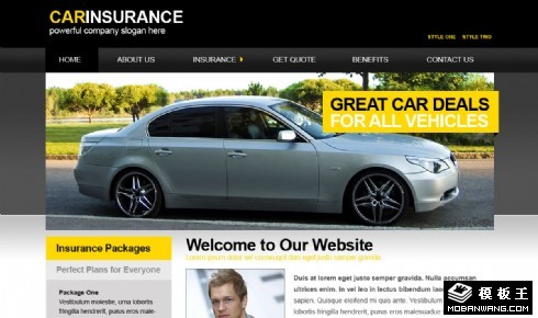 汽车保险公司网页模板