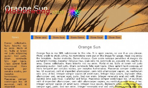橙色信息介绍网页模板