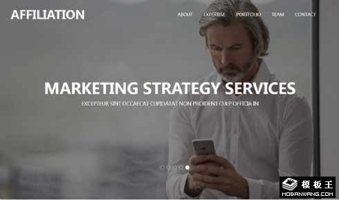 商务联络合作响应式网页模板