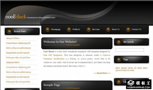 黑色设计风格BLOG网页模板