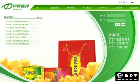 医药保健品企业网页模板