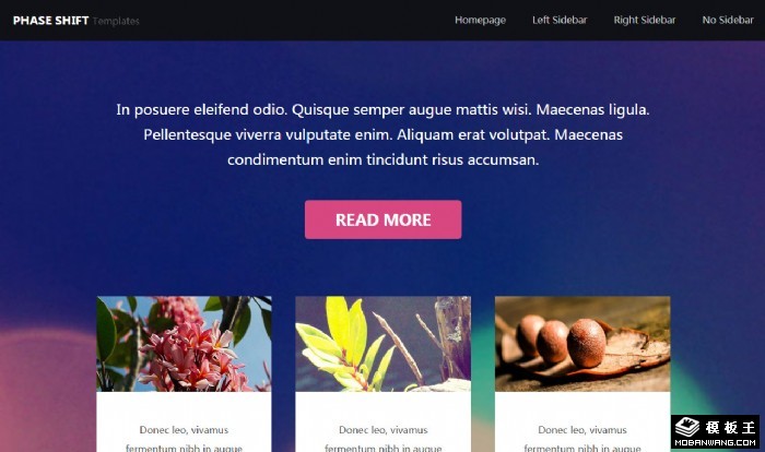 明亮多彩图文信息网站模板