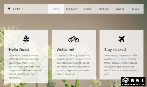 左右切换信息介绍单页面响应式网页模板