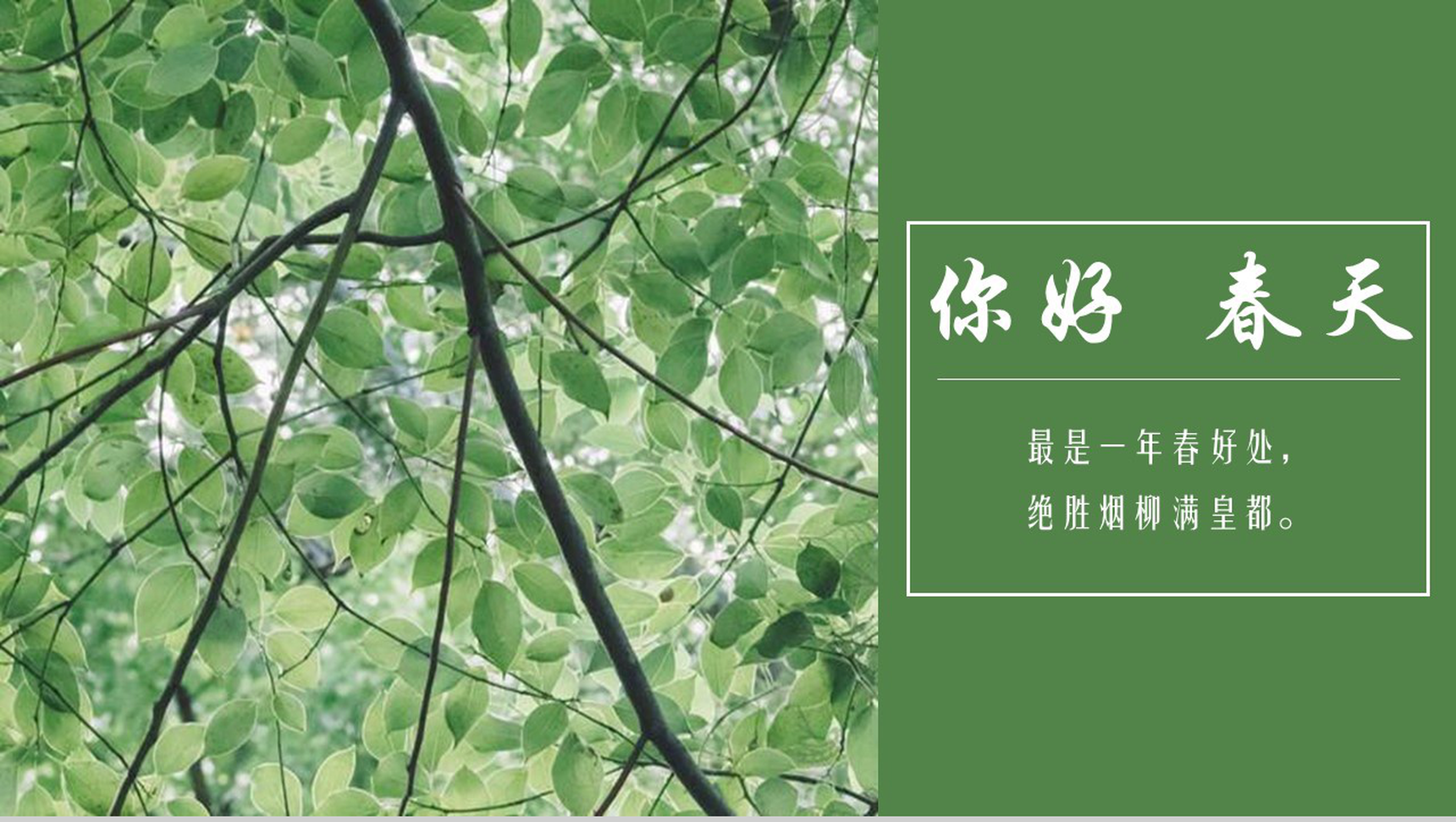 绿色清新你好春天企业宣传PPT模板