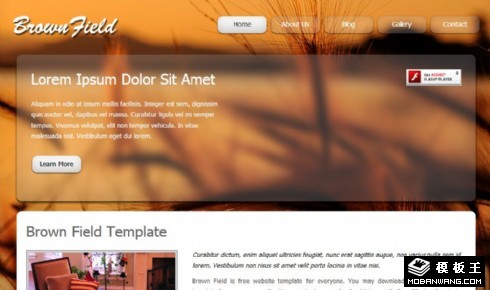 棕色地带动态网页模板