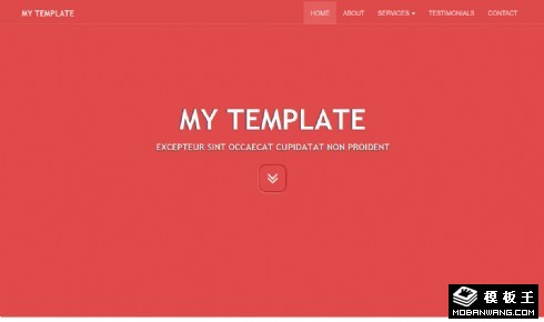 简洁信息介绍响应式网页模板