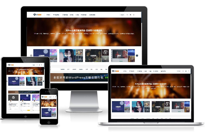 ripro虚拟资源主题8.9开心版/免授权/ripro日主题V8.9源码下载