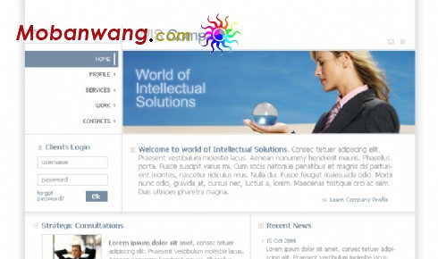 欧美简单企业网站模板