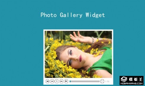 图片播放器组件网页模板