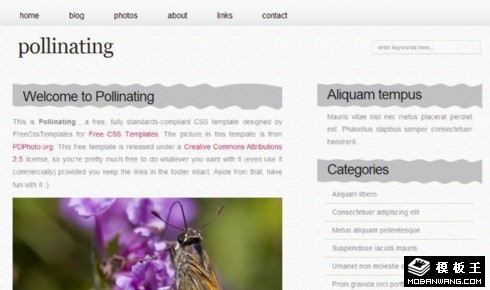 花粉采蜜简洁BLOG网页模板