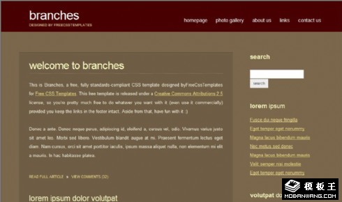 棕色简单BLOG网页模板