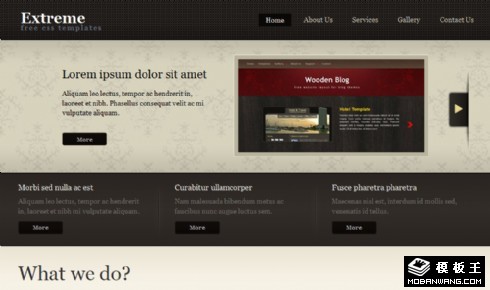 极致设计服务公司网页模板