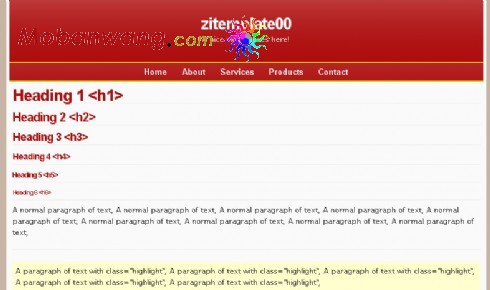 红色WEB标准范例网页模板