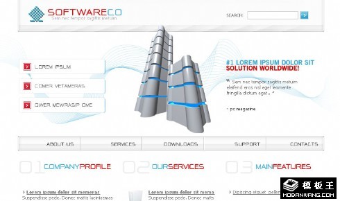 软件服务器网页模板