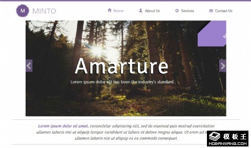 浅紫简洁信息介绍响应式网页模板