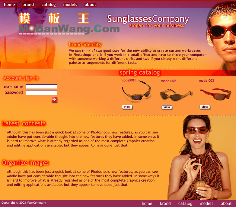 太阳镜销售公司版面_欧美网页模板