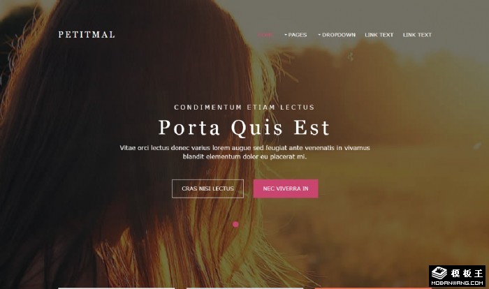 摄影业务日志展示网页模板